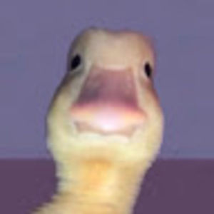 Meet your Posher, Milo